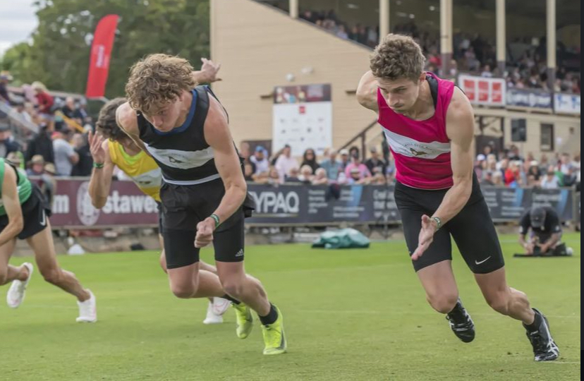 Dash racing out of the blocks at the Stawell Gift
