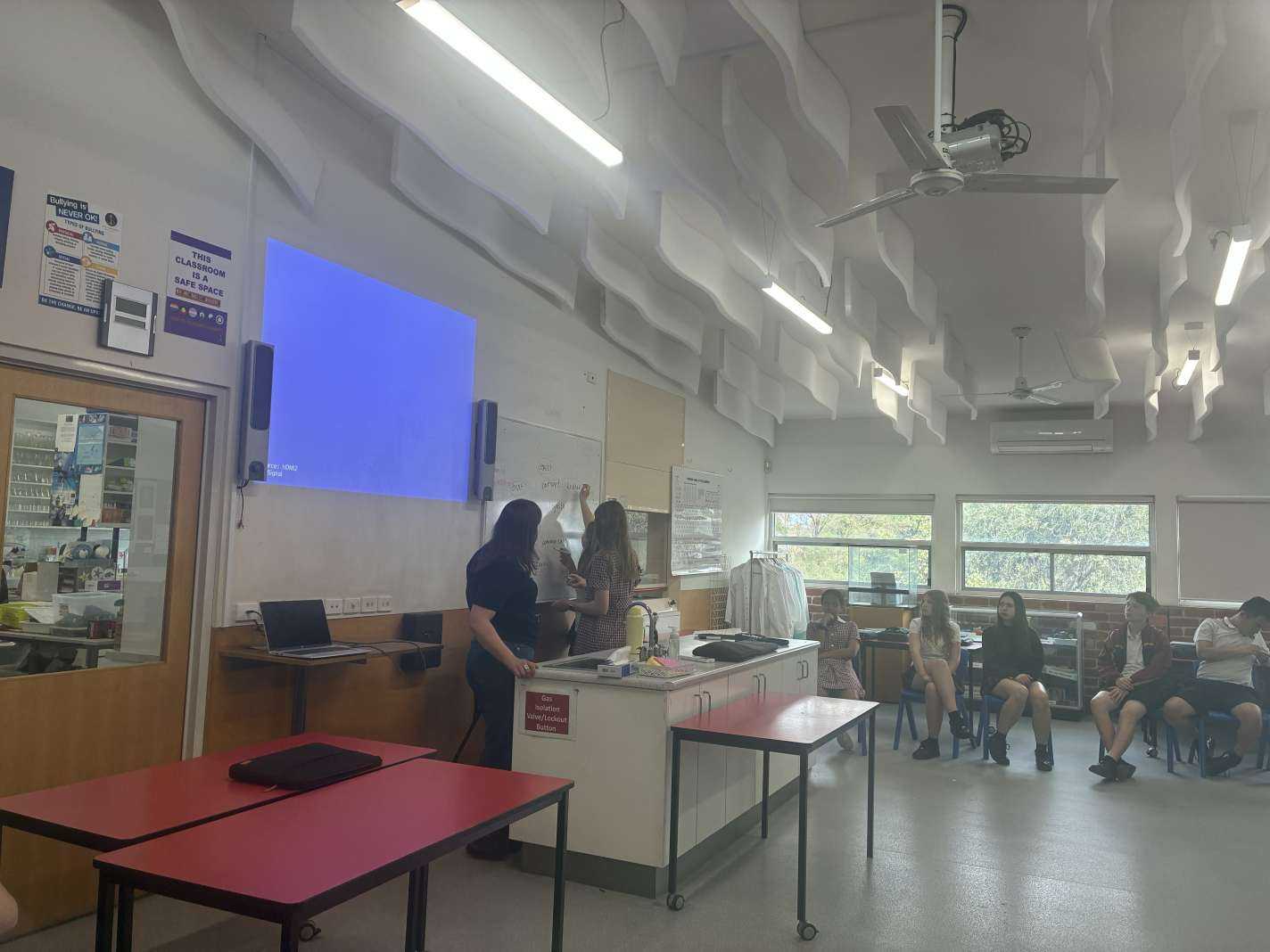 Elephant Ed incursion