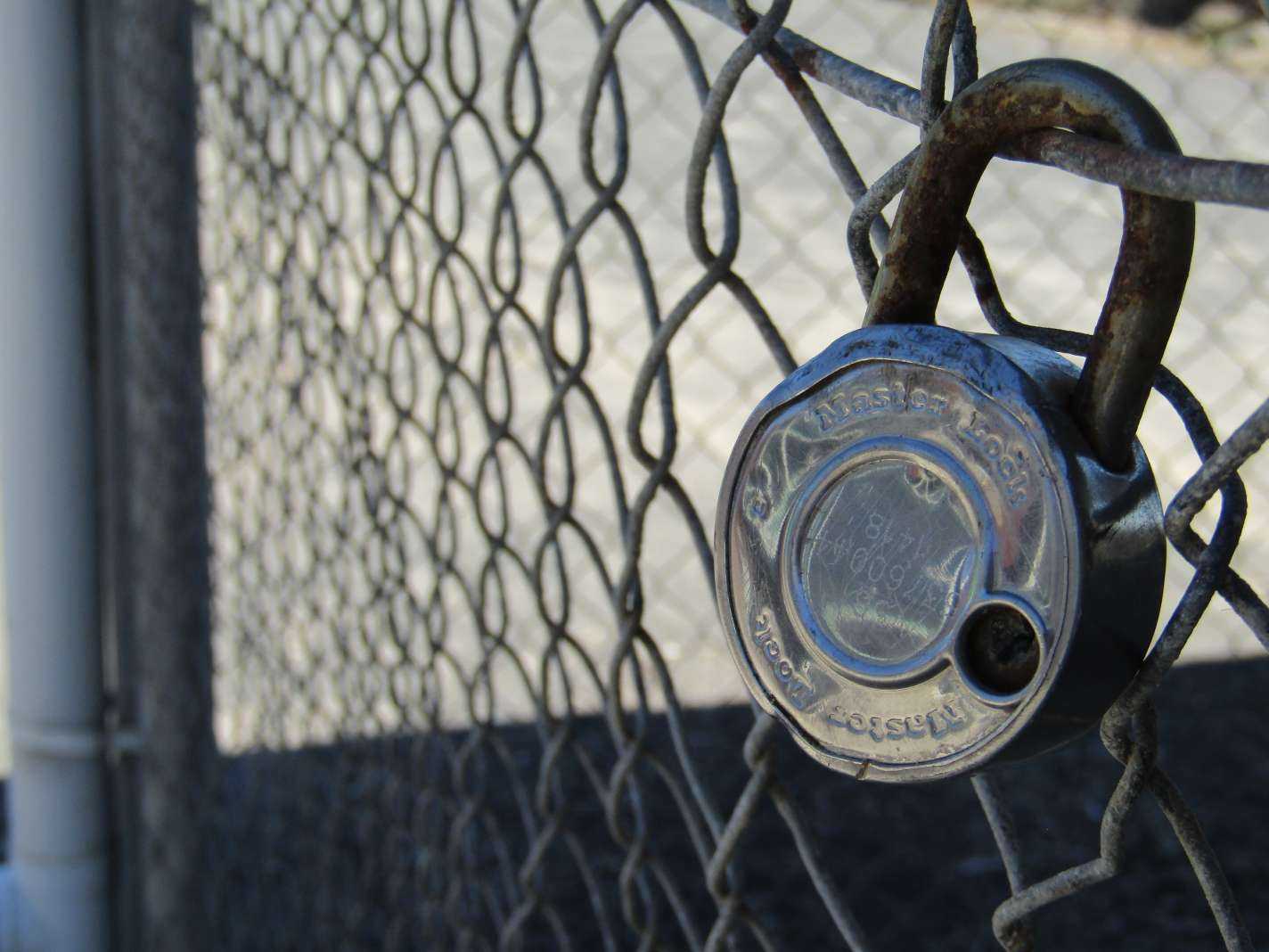 Year 9 Digital Photography Elective