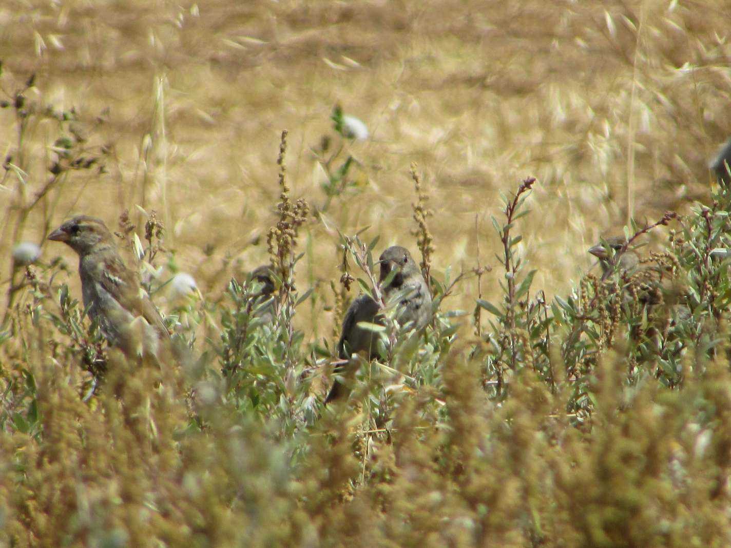 Year 9 Digital Photography Elective